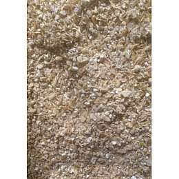 Мицелий грибов Насіння країни Вешенка лимонная 10 г