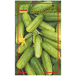 Семена огурца Насіння країни Бригадный 5 г