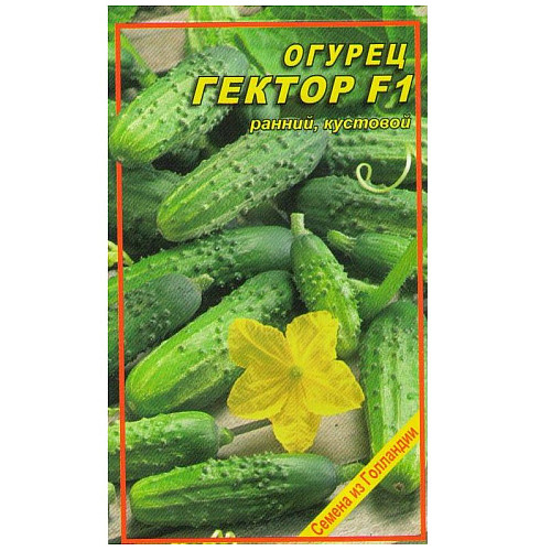 Насіння огірка Насіння країни Гектор F1 10 шт