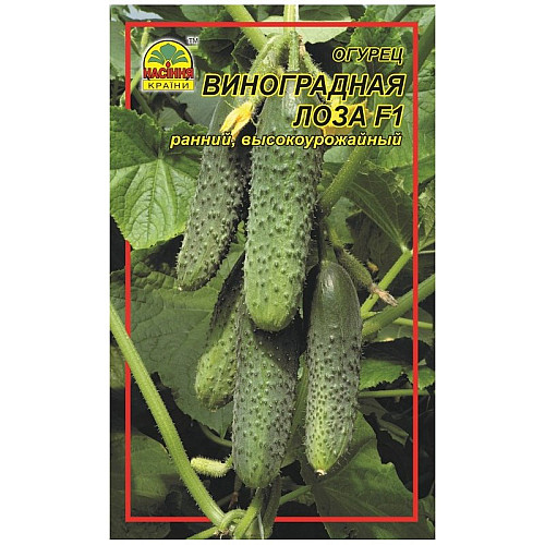 Насіння огірка Насіння країни Виноградна лоза F1 3 г 120 шт (1137298891)