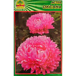 Семена Насіння Країни Астра Оксана 0,3 г