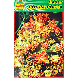 Насіння салату Насіння Країни Лолла роса 0,5 г