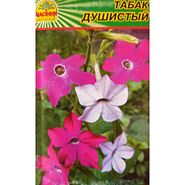 Семена Табак душистый Насіння Країни 0.1 г