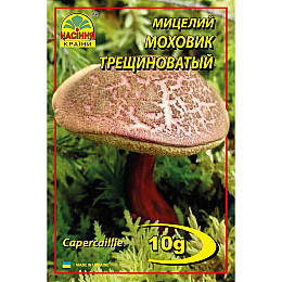 Мицелий грибов Насіння країни Моховик трещиноватый пестрый 10 г