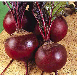 Насіння буряка Насіння країни Детройт 0,5 кг