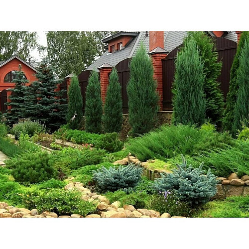 Удобрение-подкислитель Мастер Florcolor 25 г