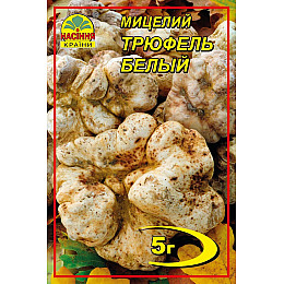 Мицелий Насіння країни Трюфель белый 5 г