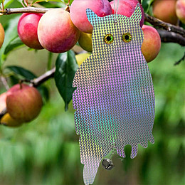 Візуальний відлякувач птахів сова голографічна Chomik 415х205 мм Різнокольоровий