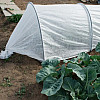 Белое агроволокно пакетированное Shadow 30 г/м² 1,6x10 м N