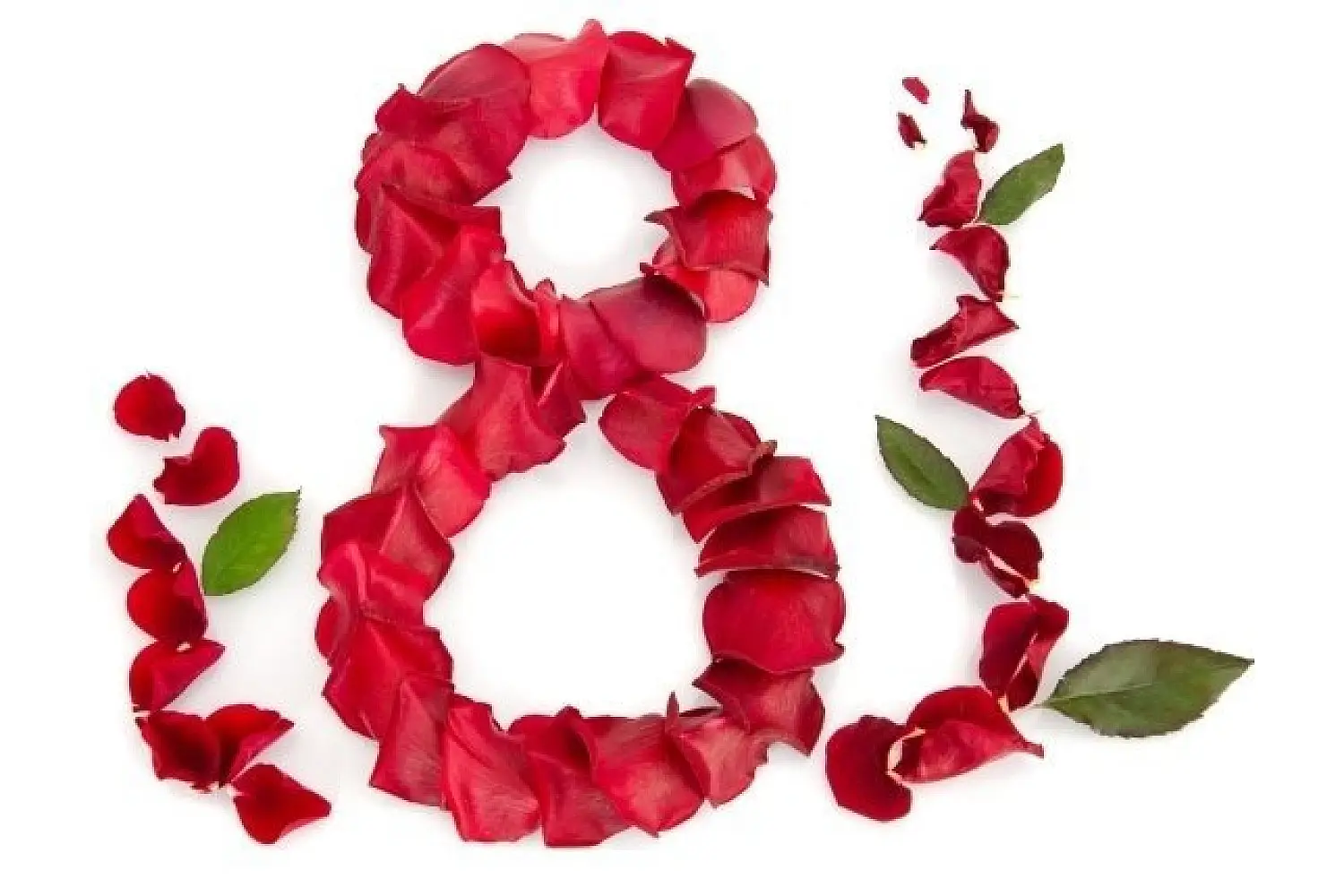 Що подарувати жінкам на 8 березня 2026