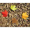 Стопер для дверей Autumn Qualy (жовтий)