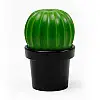 Млинок для перцю або солі Tasty Cactus Qualy (чорний-зелений)