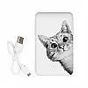 Повербанк (powerbank) Ziz "Ей, кіт" 5000 mAh