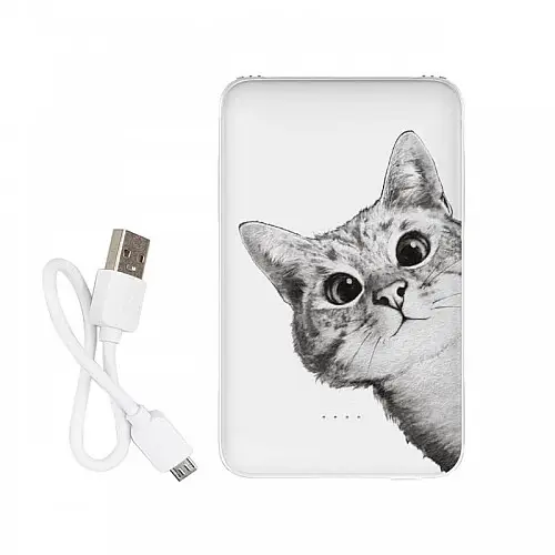 Повербанк (powerbank) Ziz "Ей, кіт" 5000 mAh