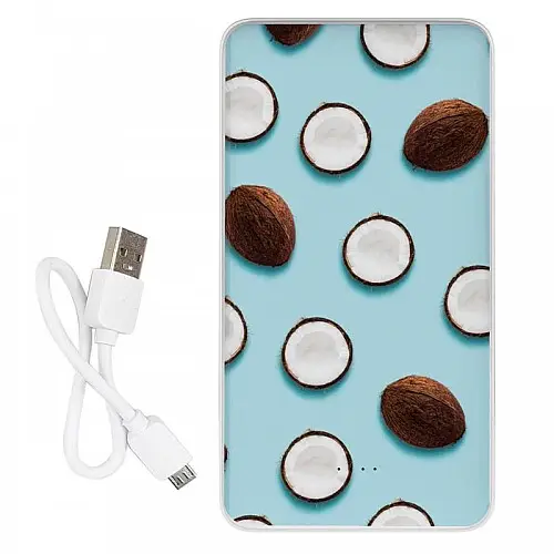 Повербанк (powerbank) Ziz "Кокосы" 10000 mAh