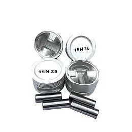 Комплект поршней OEM Daewoo Lanos Nubira 0.25 с пальцами (93740219)