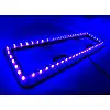 Рамка номера для автомобиля с подсветкой OEM LED Синий (131340)