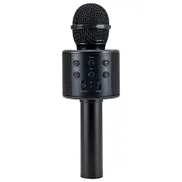 Бездротовий караоке мікрофон Wster WS 858 Чорний (69)