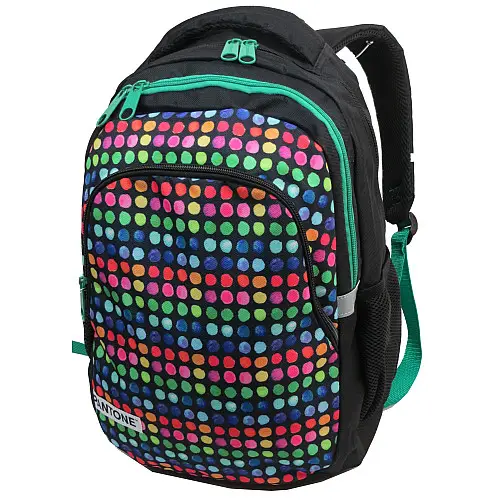 Молодежный рюкзак Paso 18 л Разноцветный (00-699PAN)