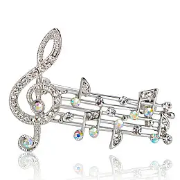 Брошь BROCHE Скрипичный ключ Ноты серебристая BRSF110840