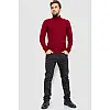 Гольф мужской бордовый 161R857 Ager M
