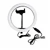 Светодиодная кольцевая лампа Ring Fill Light LC666 с держателем для телефона 26 см (300600)