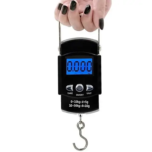 Ваги ручні Rogtyo R2 електронні від 10 грам до 50 кг (050682)