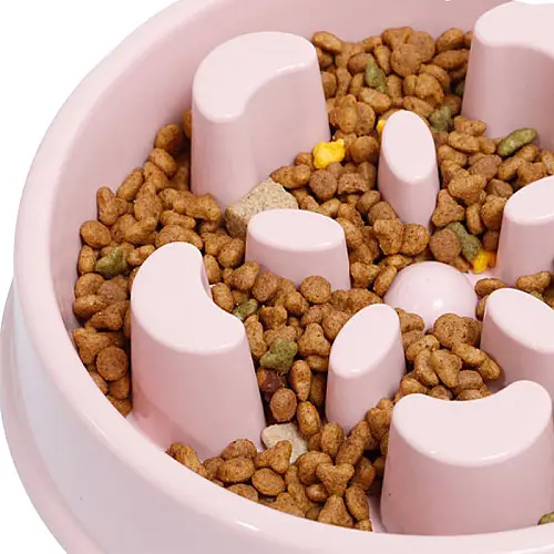 Миска для собак и котів Taotaopets 139903 Рожевий