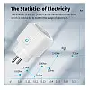 Умна розетка Tuya Smart WiFi Head 20А 80286320