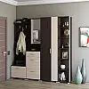 Прихожая Эверест Бриз-4 с распашным шкафом ШП-2 (4 элемента) венге + дуб молочный (EVR-2658)