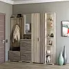 Прихожая Эверест Бриз-4 с распашным шкафом ШП-2 (4 элемента) сонома + трюфель (EVR-2659)