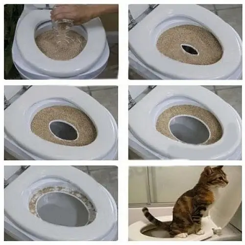 Накладка на унітаз для котів Citi Kitty Cat Toilet Training 8631 White