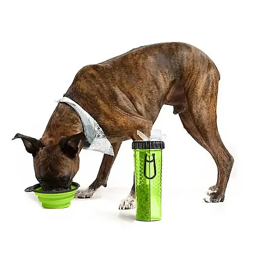 Бутылка для тварин Snack-Duo для води і корму зі складною мискою Green (3_03743)