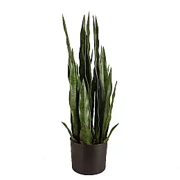 Штучна рослина Engard Sansevieria, 65 см (DW-10)