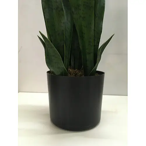 Штучна рослина Engard Sansevieria, 65 см (DW-10)