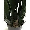 Штучна рослина Engard Sansevieria, 65 см (DW-10)