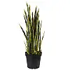 Штучна рослина Engard Sansevieria, 92 см (DW-12)
