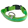 Світлодіодний LED ошийник Lesko Green M USB світиться для собак і котів
