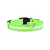 Світлодіодний LED ошийник Lesko Green M USB світиться для собак і котів