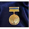 Медаль Mine Ветеран войны в позолоте участник боевых действий 32 мм Золотистый (hub_aqy23o)