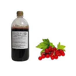 Сироп Красной Смородины пластиковая бутылка Eva 1 кг/0.76 л
