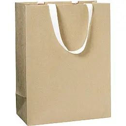 Пакет подарочный Stewo 25 х 13 х 33 cm Крафт 10 шт