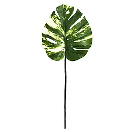 Іскусний лист Engard Monstera Alba 73 см (TW-54)