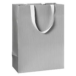 Пакет подарочный STEWO серебряный 23 х 13 х 30 cm (упаковка 6 шт) (2544782196)