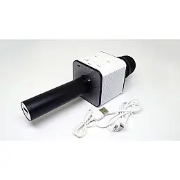Микрофон-караоке Noisy KTV Q7 с динамиком Черный с белым (3sm_648363804)