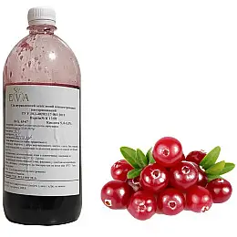 Концентрированный сок Eva Клюквенный 1 кг/0,76 л