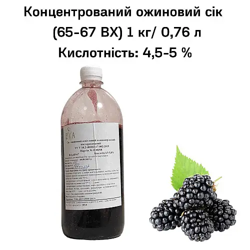 Концентрированный сок Eva Ежевичный 1 кг/0,76 л