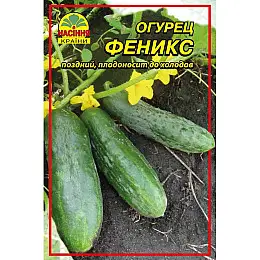 Семена огурця Насіння країни Фенікс 10 г 400 шт ( 1137298907 )