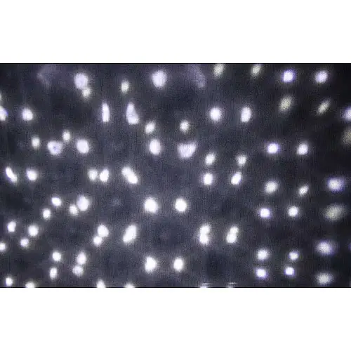 Новогодний уличный лазерный проектор X-Laser XX-Snow 5 Вт Черный