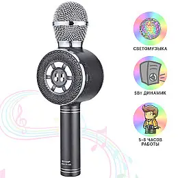 Детский микрофон Wster с функцией караоке USB, microSD, AUX, Bluetooth WS 669 Черный